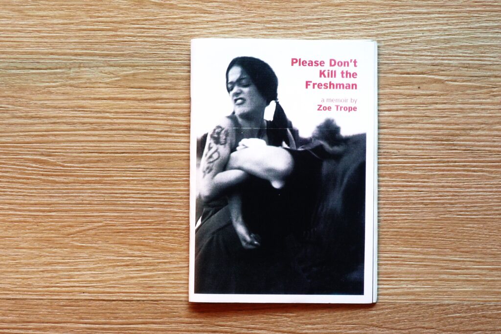 cover of dark comedy zine: Please Don't Kill the Freshmen